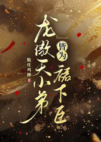 龙傲天小弟皆为群下臣