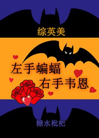 [综英美] 左守蝙蝠，右守韦恩