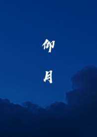 仰月11 